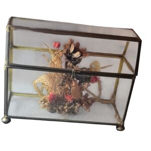 70s Terrarium With Dried Flower Arrangement Inside Glass Brass Footed With Lid